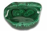 Flowery Polished Malachite Specimen - Great Eyes #255199-1